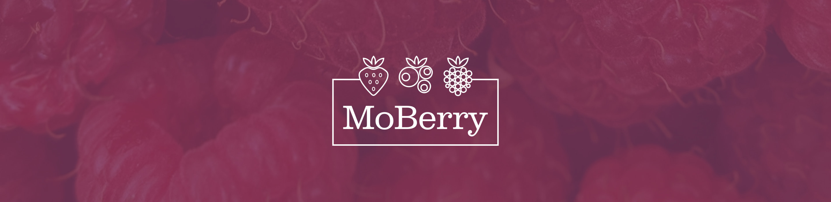 About MoBerry